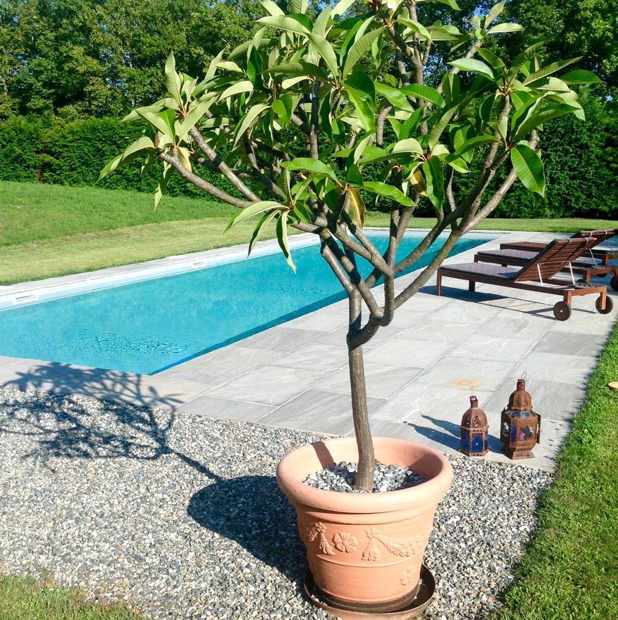 Alla Gazza Ladra Bed and Breakfast Prato Sesia Værelse billede